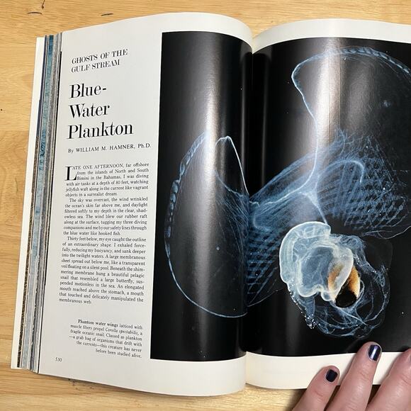 Vintage National Geographic October 1974 Skylab Big Thicket Plankton Bhutan Atka - Picture 6 of 10